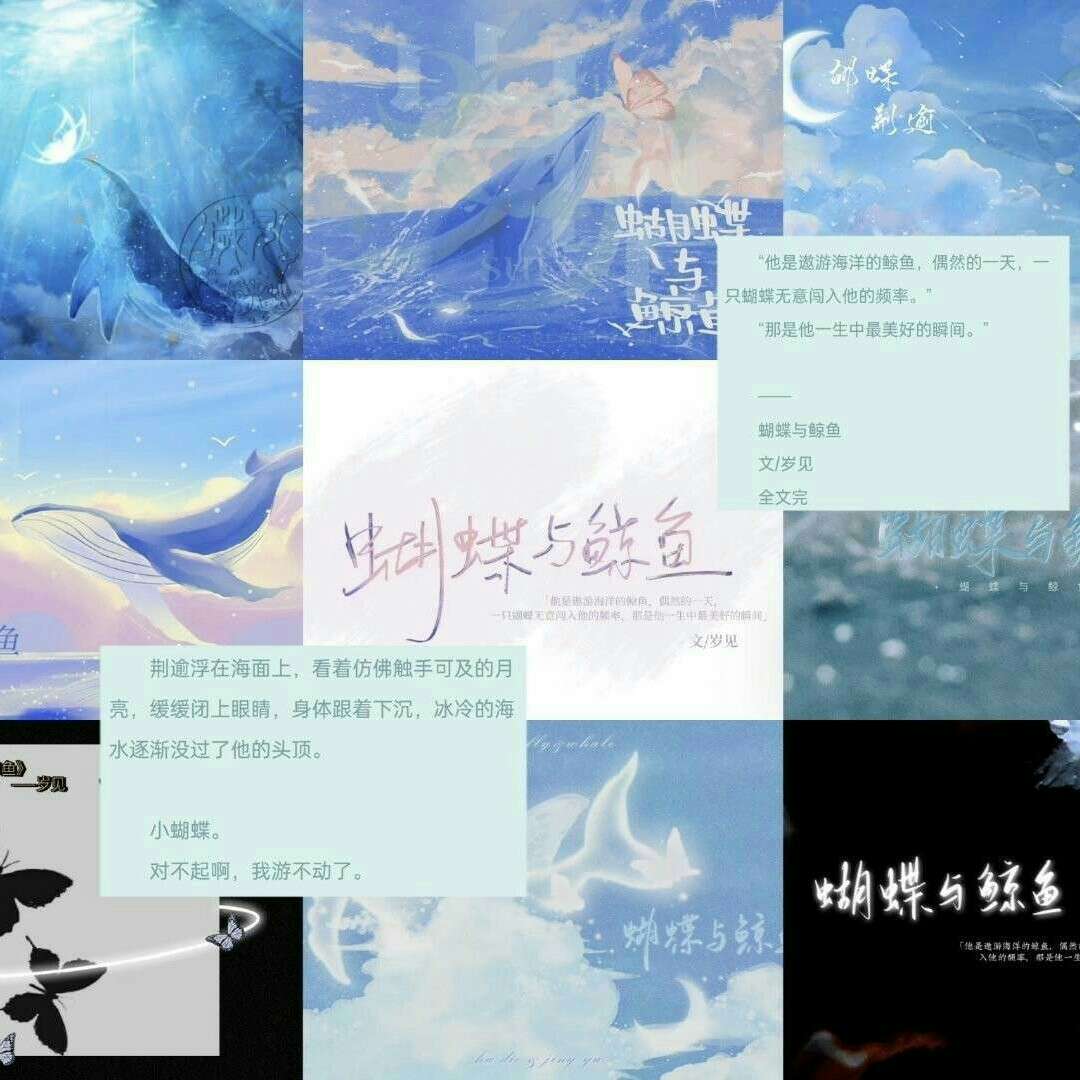 蝴蝶与鲸鱼