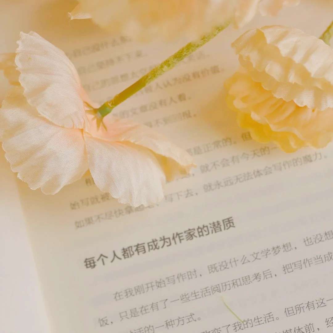 贩卖黄昏的专辑