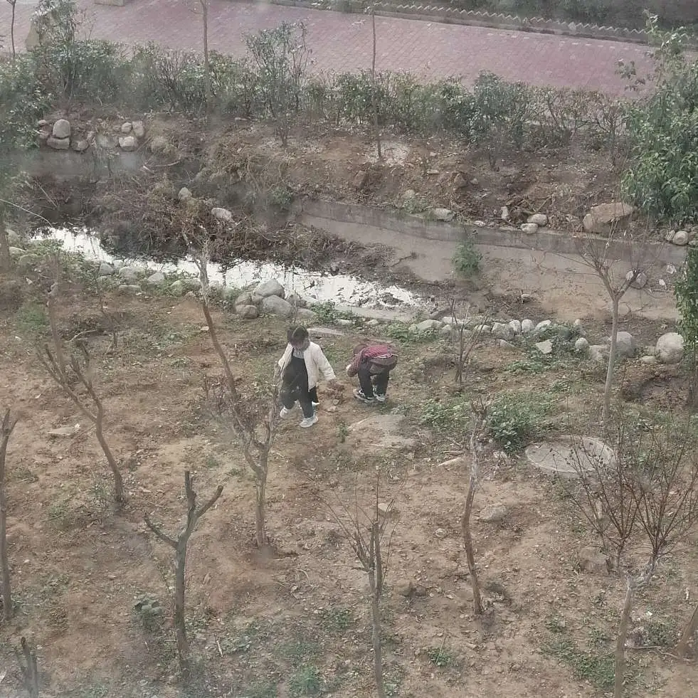 少年的专辑