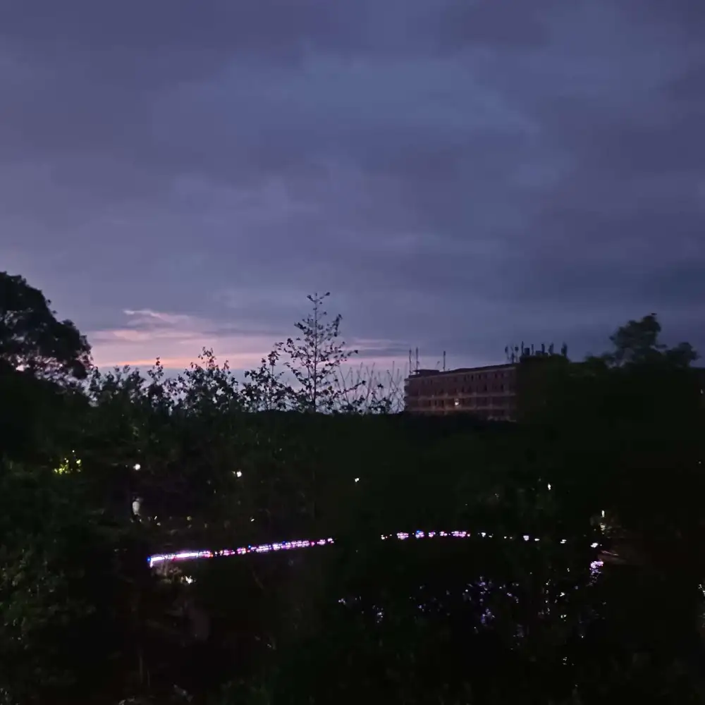 鹤扰