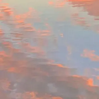 喜欢ta