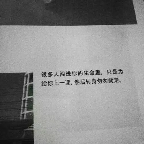 可以写入文章的句子
