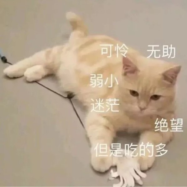 皮一下很开心ლ—(°◡°)-ლ