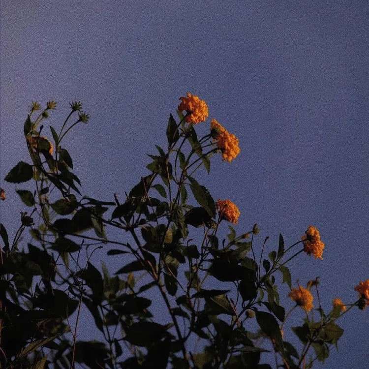 『白中小破班语录』