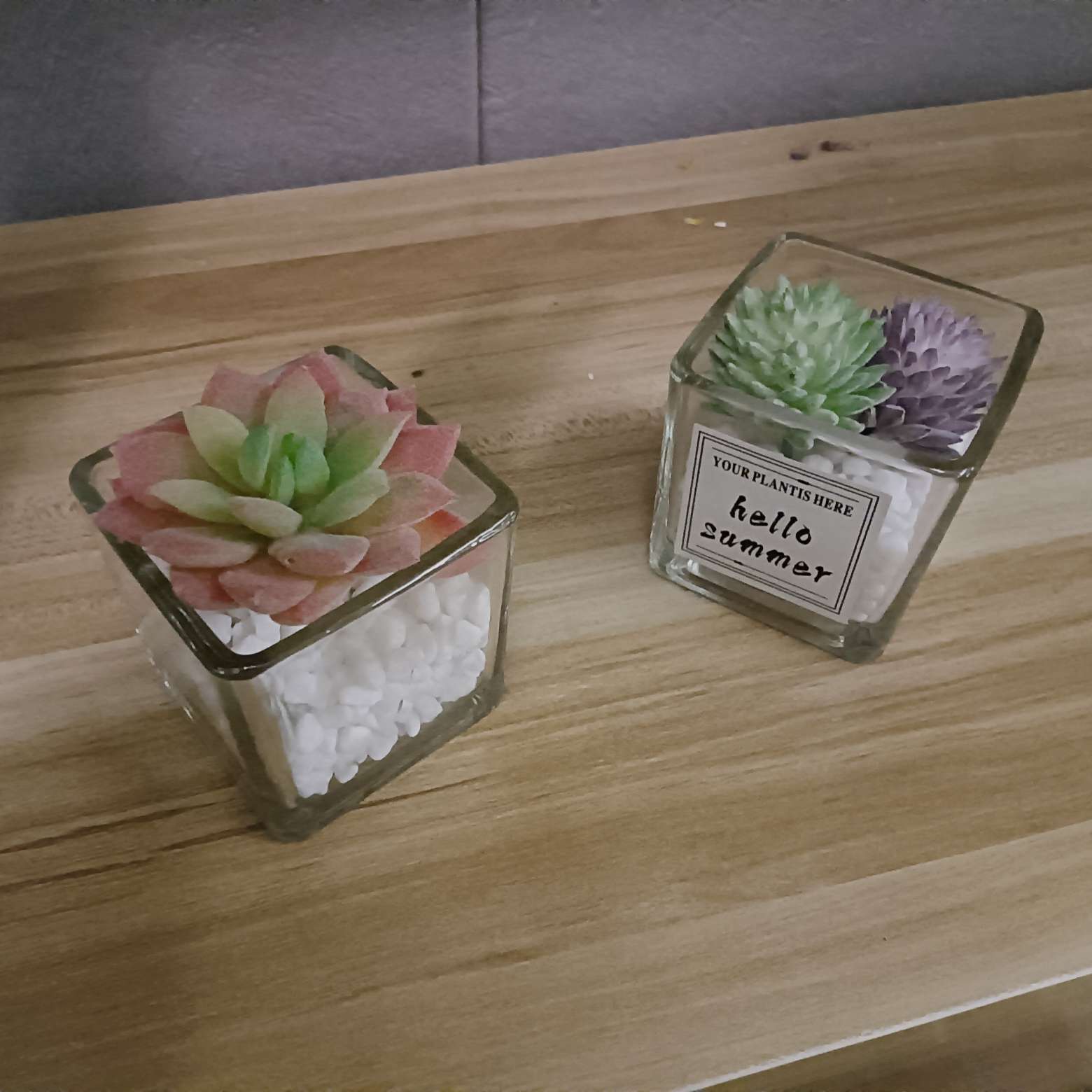 停栖我眼睛的你是一只虫