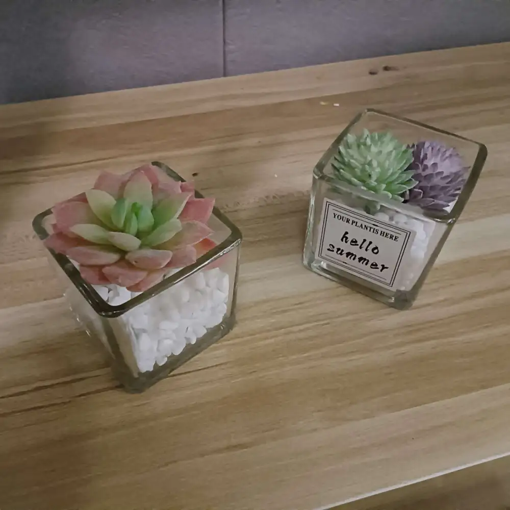 停栖我眼睛的你是一只虫