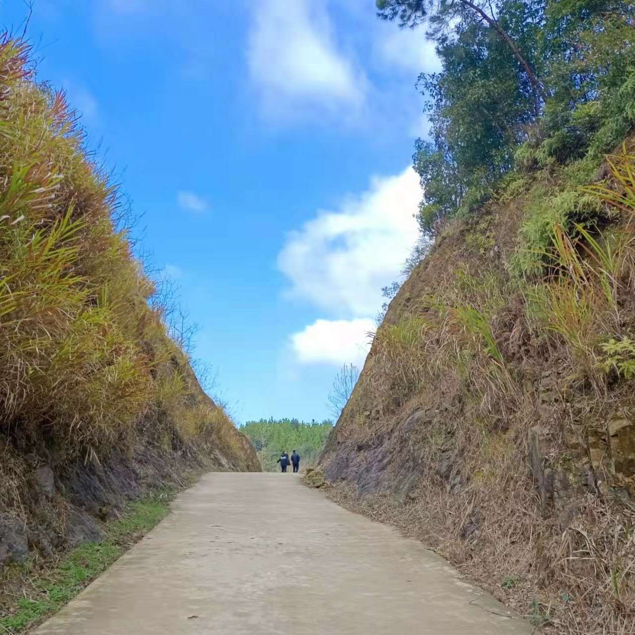 在人间寻找自己的句子