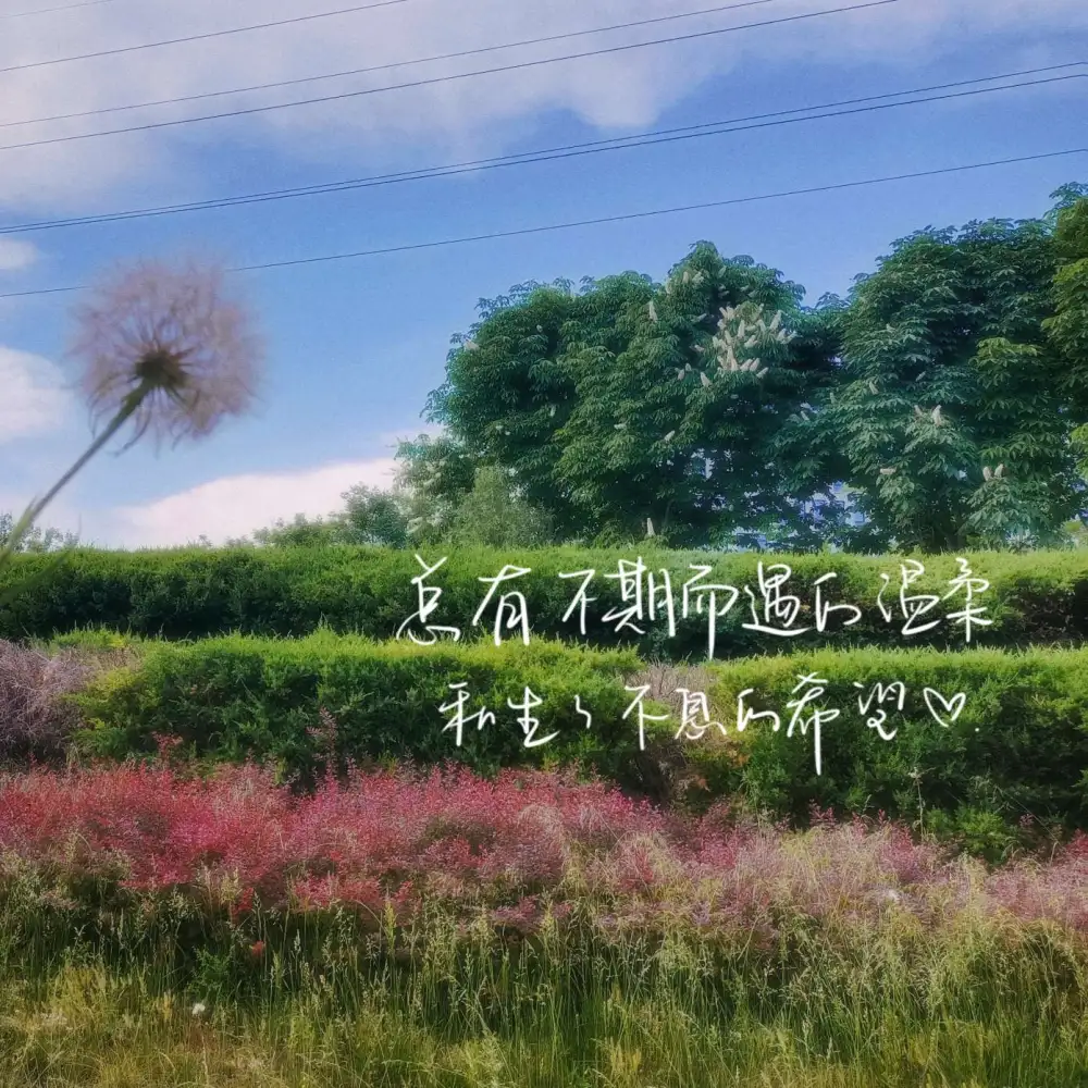 凌乱521的专辑