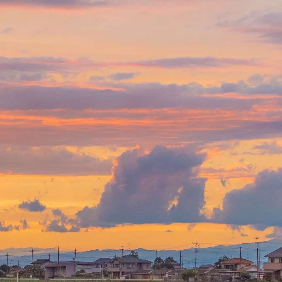 夏天的风我永远记得 清清楚楚的说要热死我