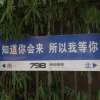 w的专辑