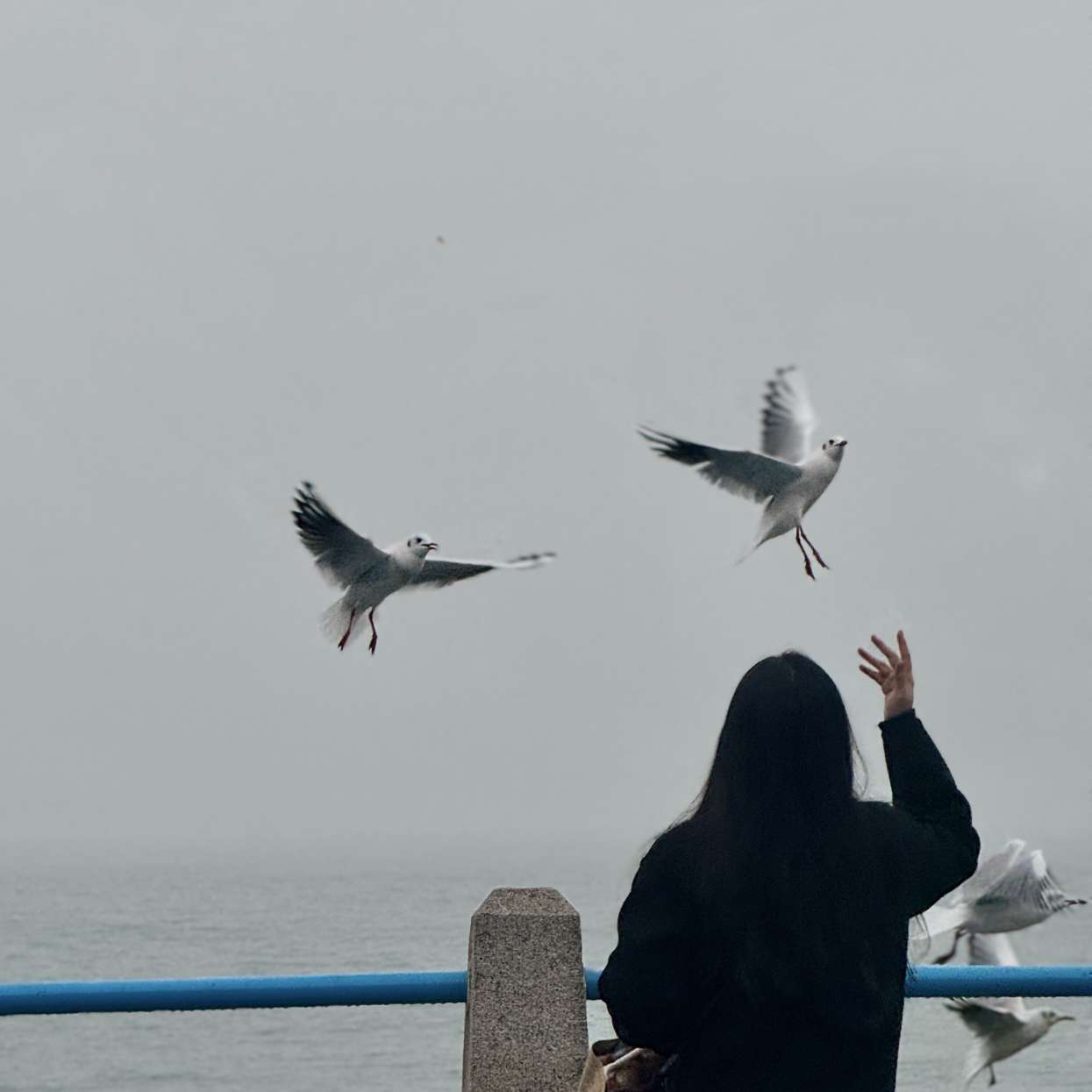 生活细碎，万物成诗——歌词