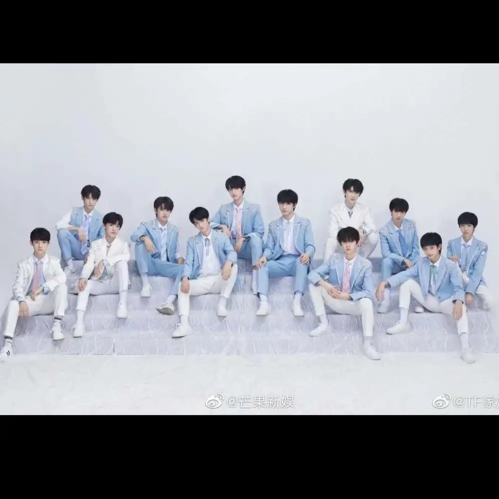 tf家族