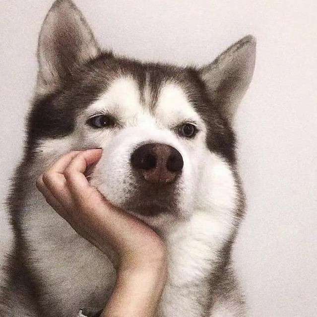 没有眼睛的女孩子