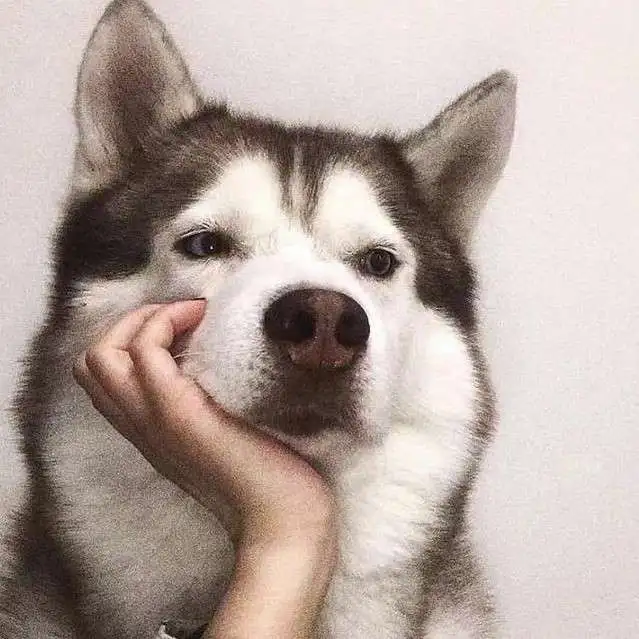 没有眼睛的女孩子