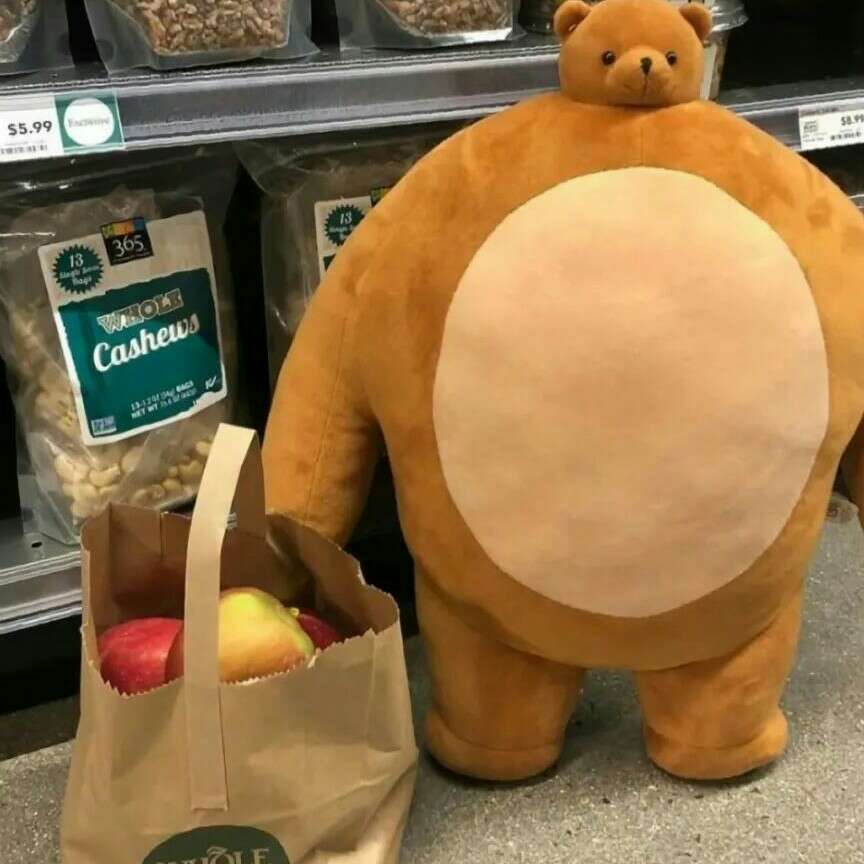 不知所踪的熊🐻