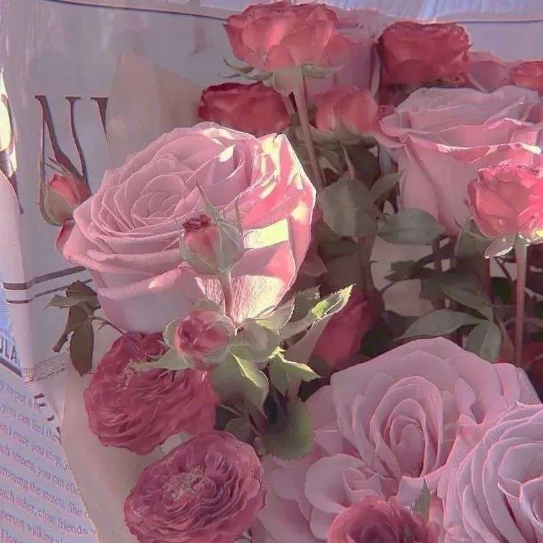 ℋᵅᵖᵖᵞ♡ᵕ̈ 