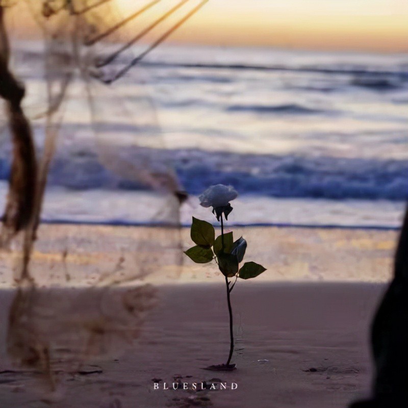 要自信坚定勇敢