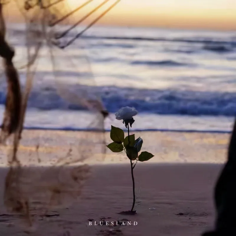 要自信坚定勇敢