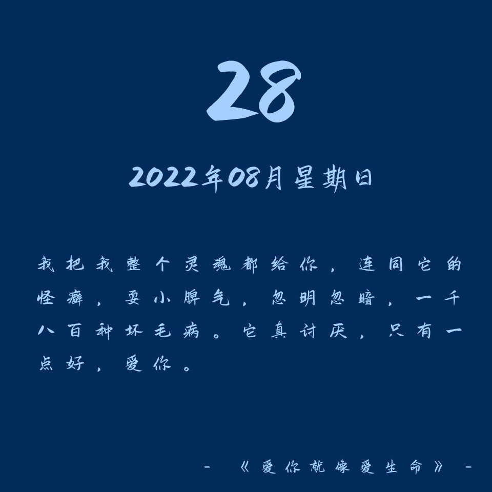 人间烟火（惊艳）