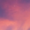 《散落星河的记忆》