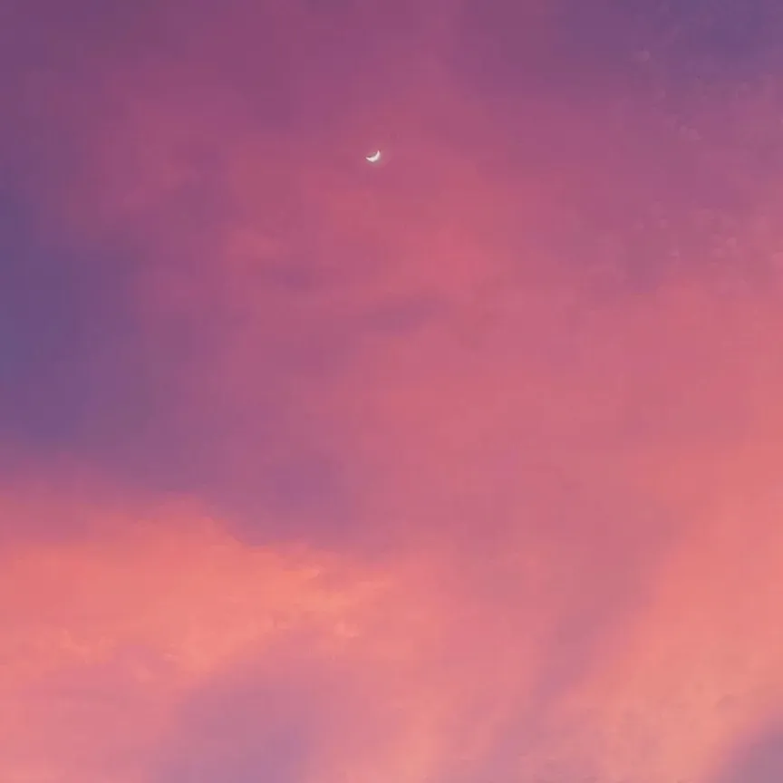 《散落星河的记忆》