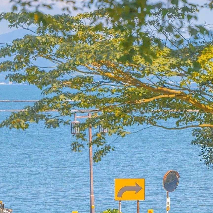 心如花木，向阳而生