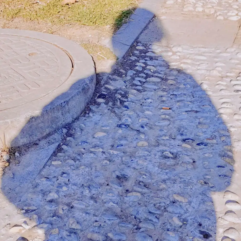 雨