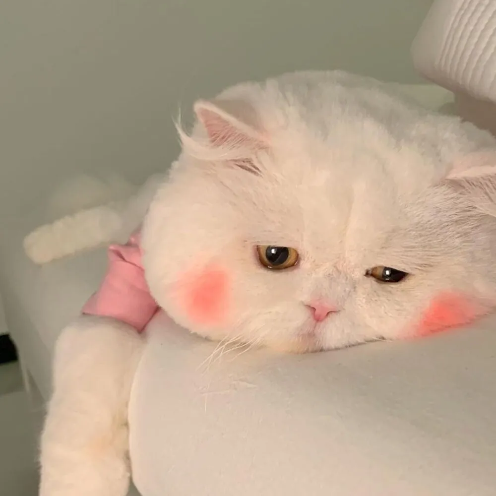 心灵治愈
