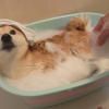 爱情