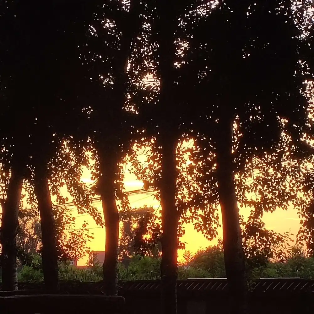 刚好喜欢的宝藏句子