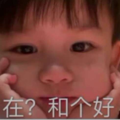 莉是人间理想羲.