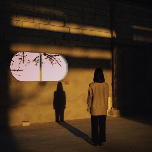 人生哲理/毒鸡汤