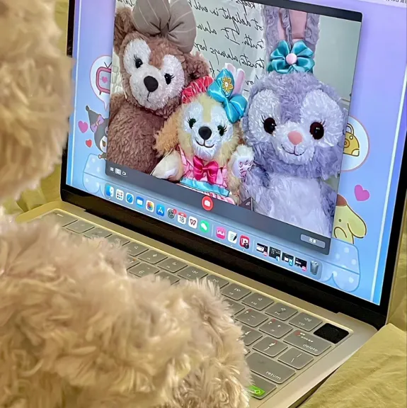 不开心的时候来看看吧~
