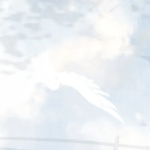 哲理