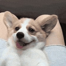 以梦为马（升华）