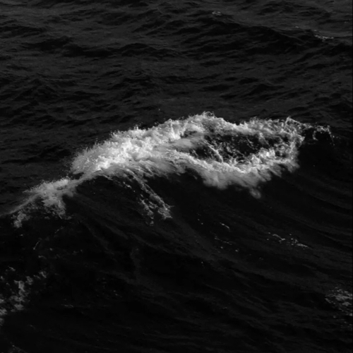 雾中走散的专辑