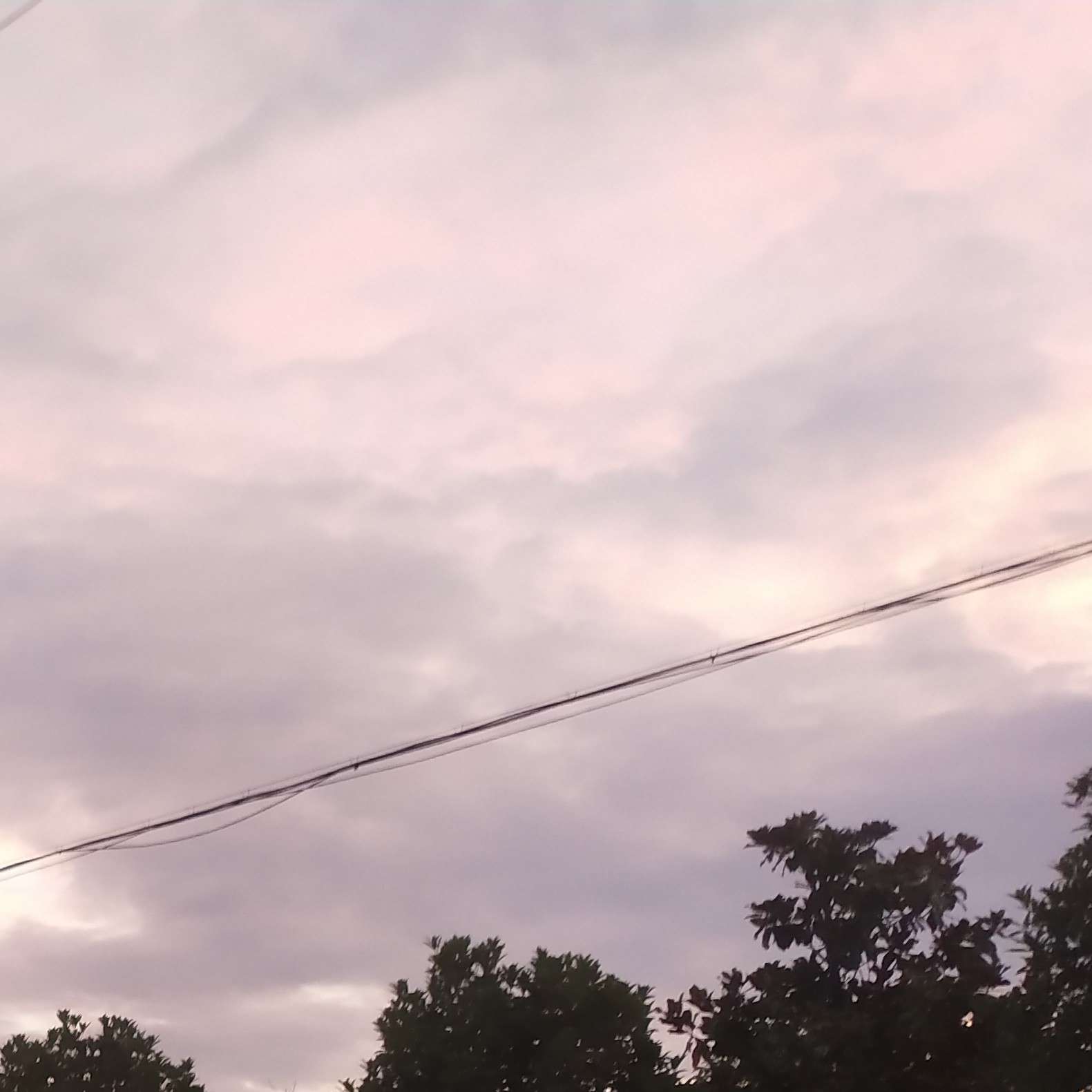 闲敲棋子落灯花