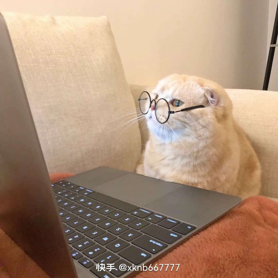 爱豆的力量句子