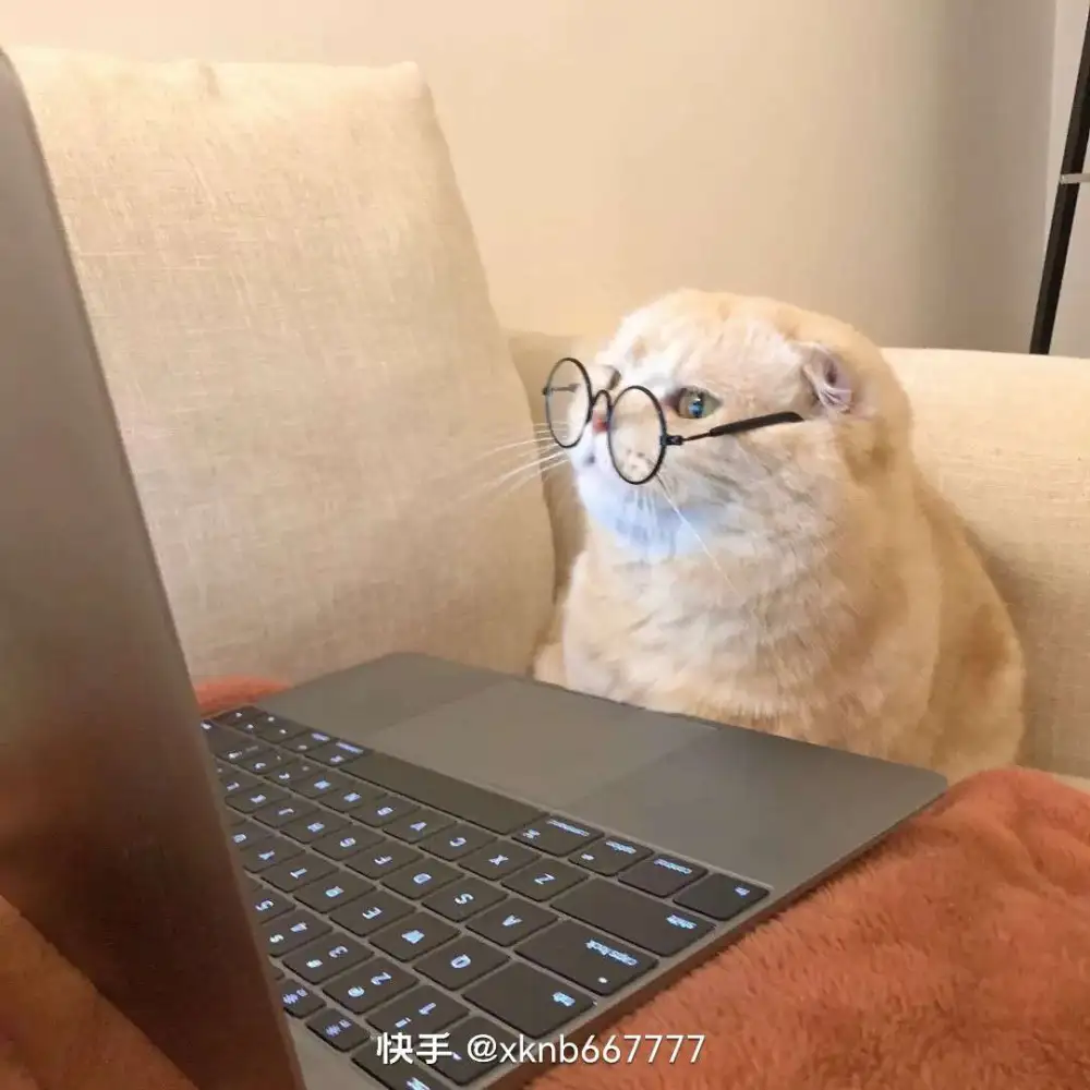 爱豆的力量句子