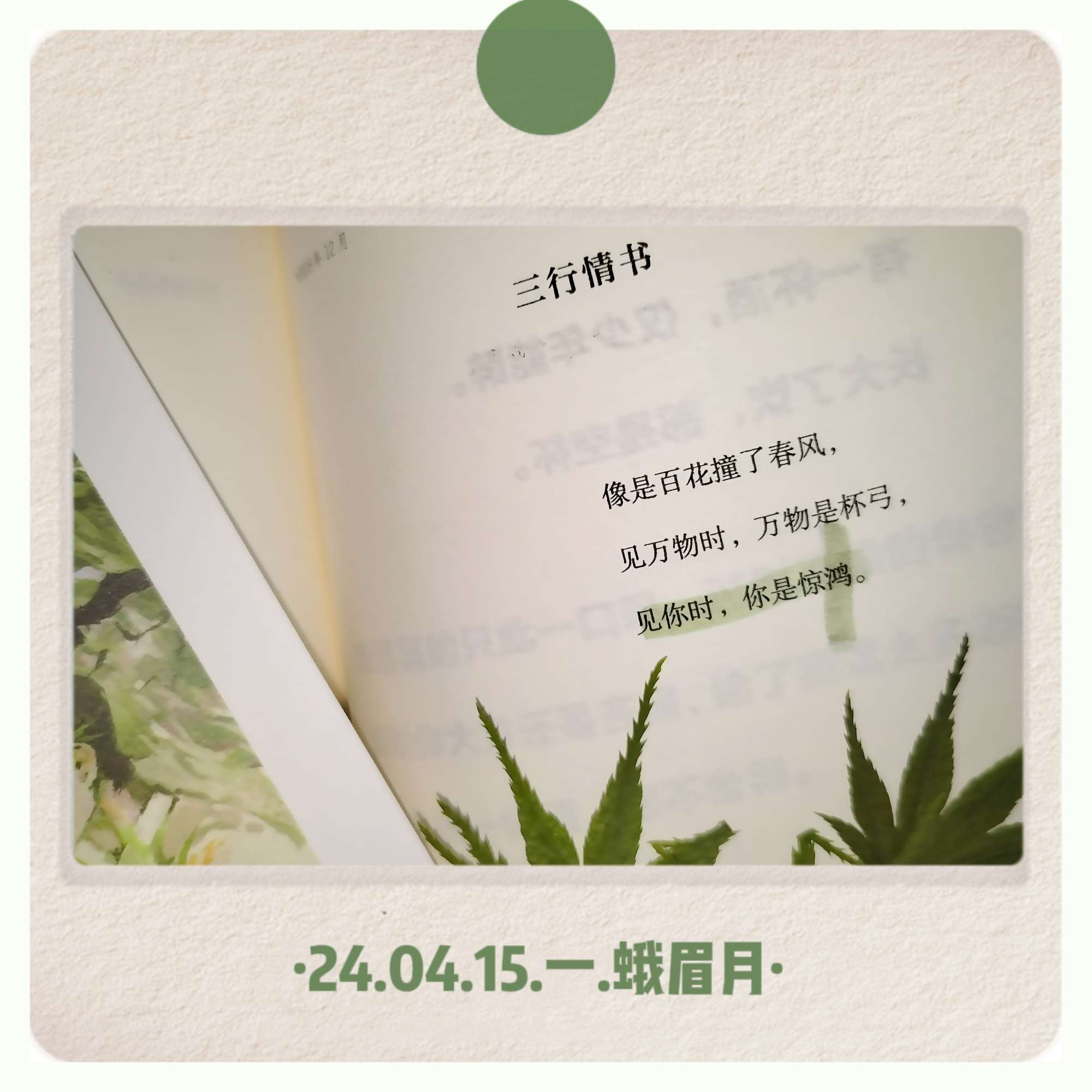 《君不见》惊竹娇