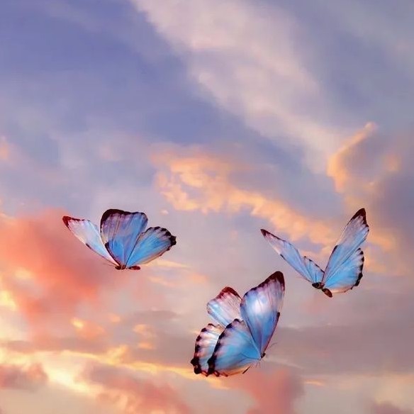 人生海海，素履之往