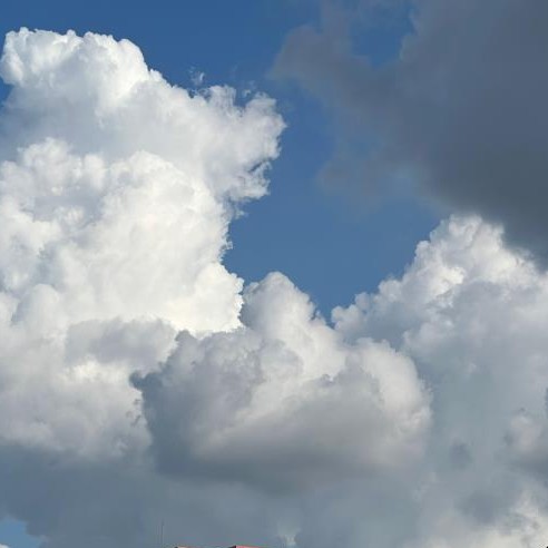 写作可以用到的句子❗