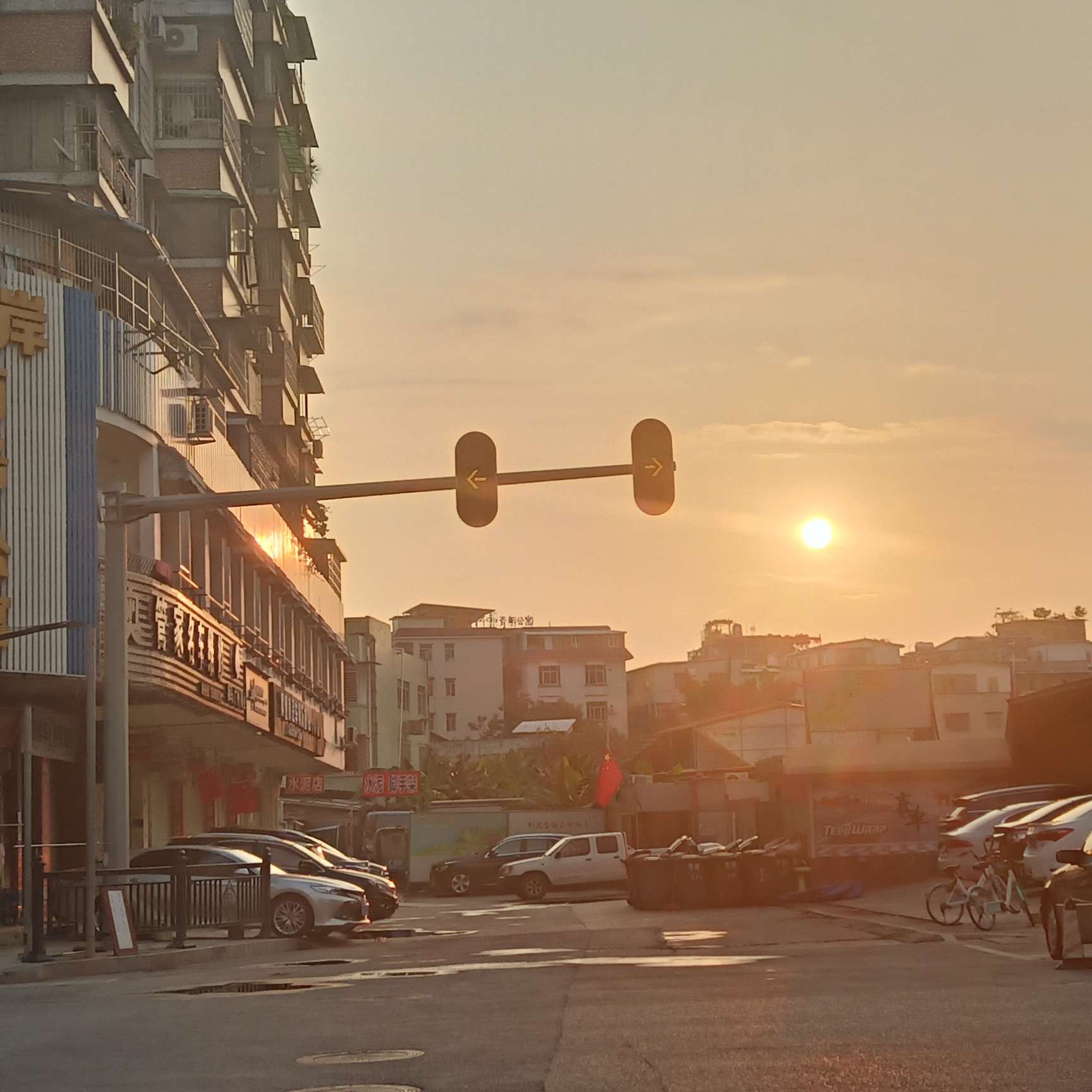 以爱之名，开出希望之花