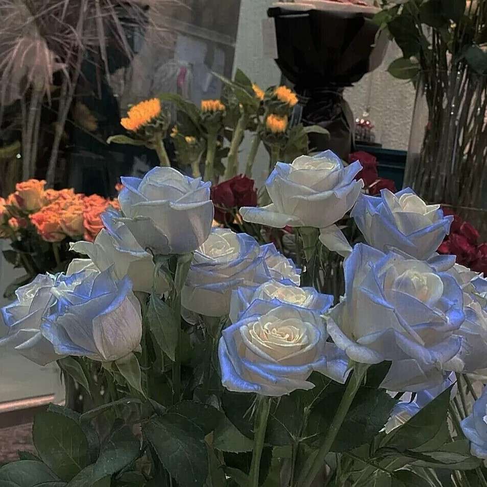 我喜欢的无风格