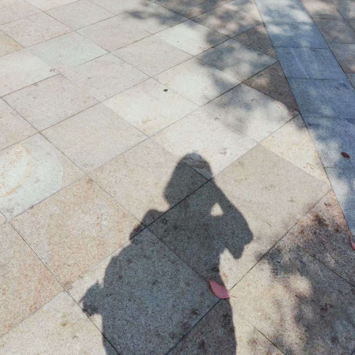 “时间是不是停止了”