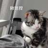 美言美文