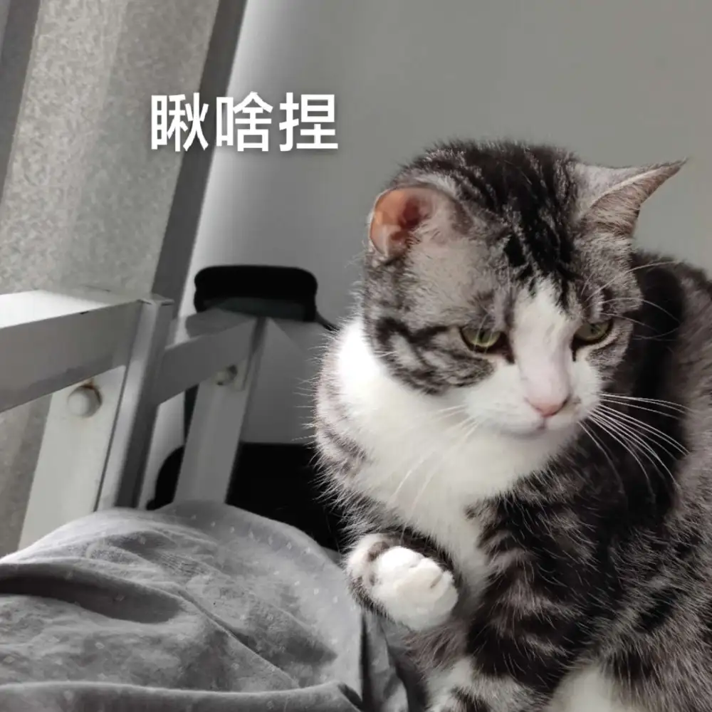 美言美文