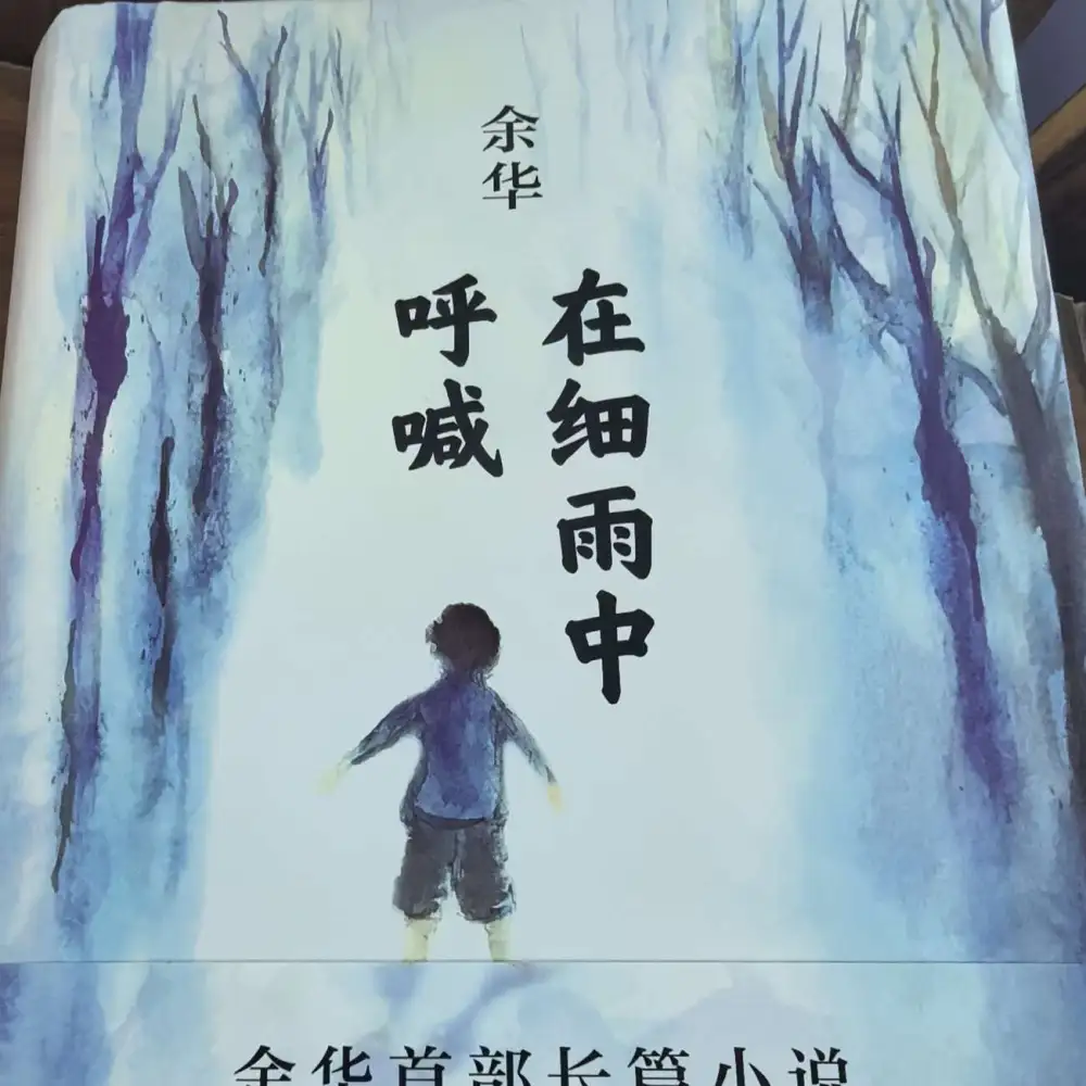 在细雨中呼喊
