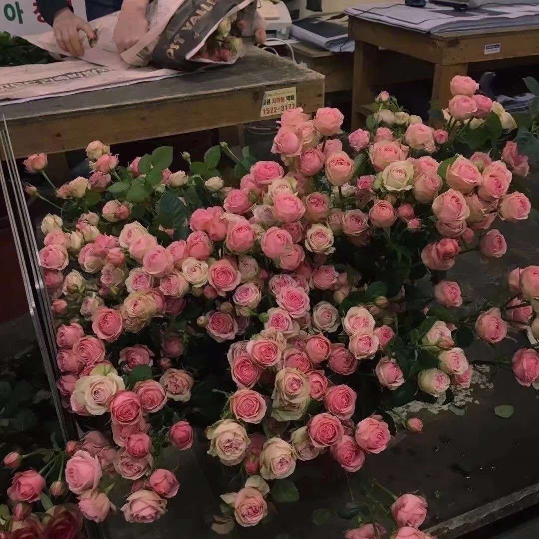 短句｜你是我的月亮吗🌙