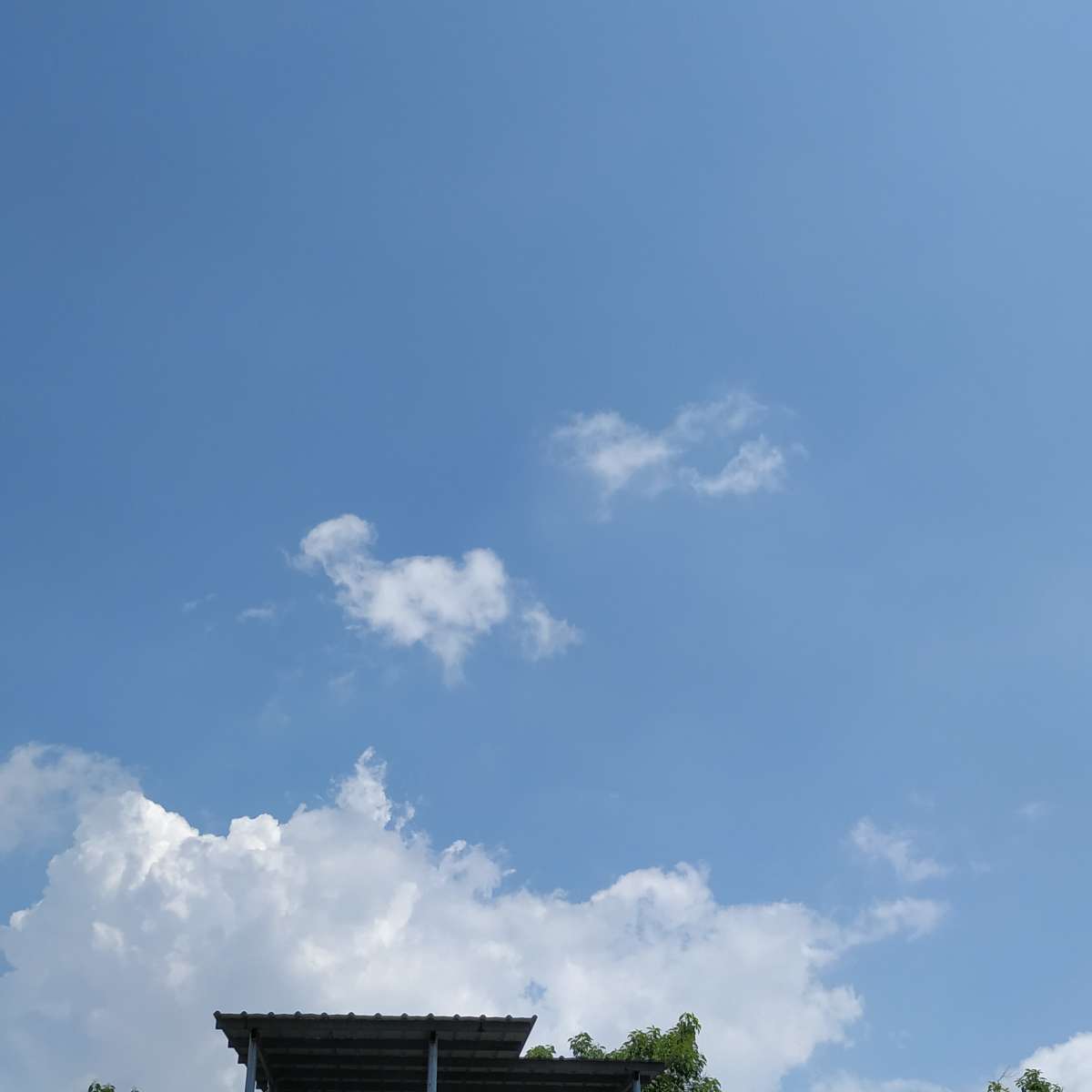 说进心坎坎的话